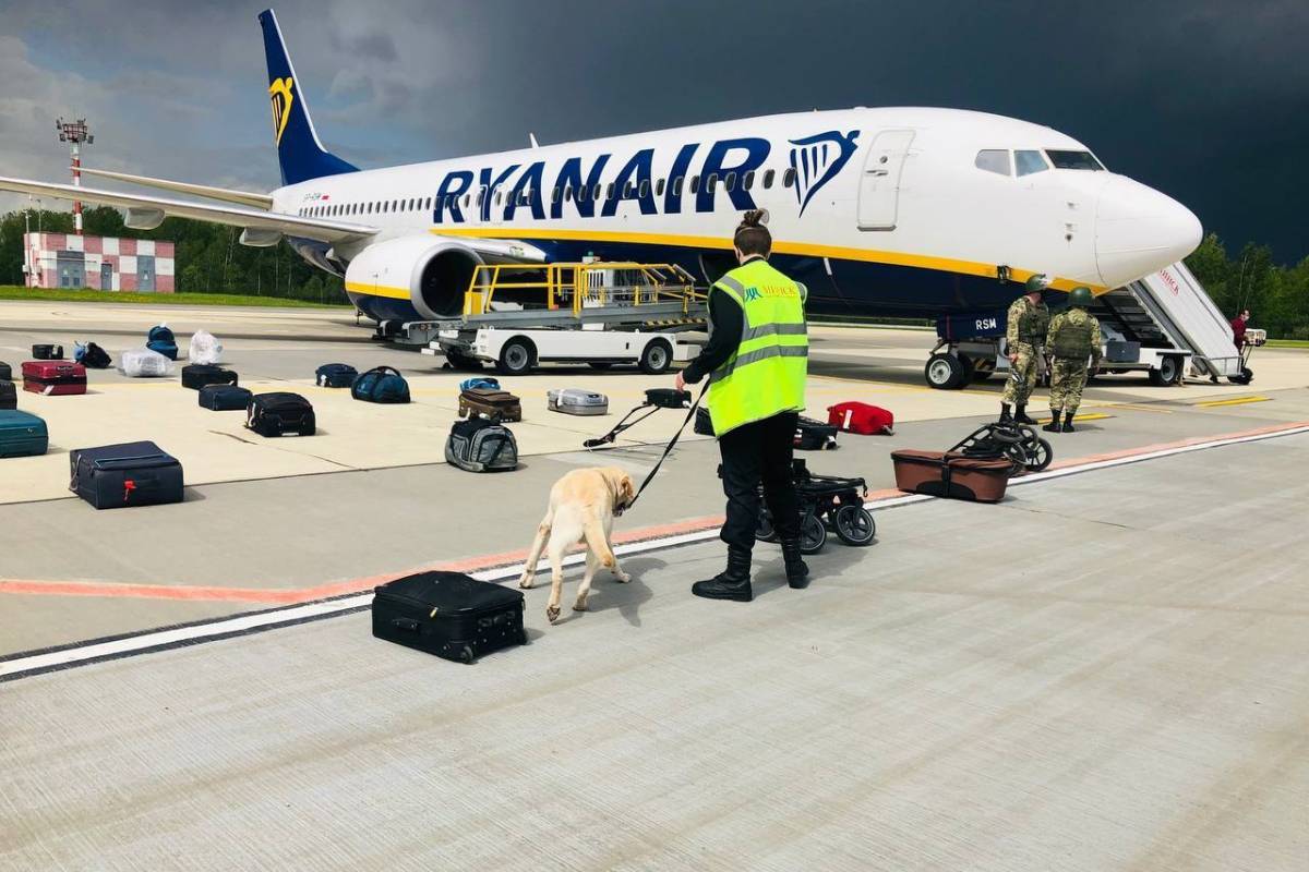 Сотрудник Национального аэропорта "Минск" проверяет багаж самолета Ryanair, который власти вынуждено посадили в беларусской столице. 23 мая 2021 года. Фото: onliner.by