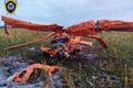 Фото: t.me/skgovby