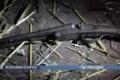 Скриншот видео МВД