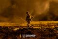 Фото: facebook/GeneralStaff.ua