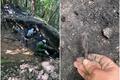 На раскопках у деревни Речки Вилейского района, лето 2026 года. Фото: bsu.by