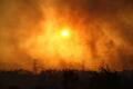 Residents flee as winds fan massive wildfire in southern Turkey