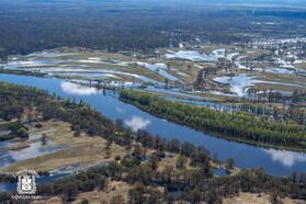 Вид на Гомельскую область. Фото: t.me/gomel_region_gov