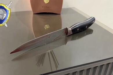Двойное убийство в Бресте. Скриншот СК