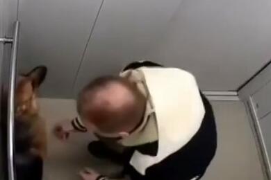 Мужчина грубо обращается с собакой в лифте. 2024 год, Могилев. Скриншот записи из приближенного к МВД телеграм-канала