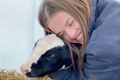 Юлия Царик с теленком на хозяйстве, где работает девушка. Фото: скриншот видео страницы в Тiktok @yuliya_tsarik
