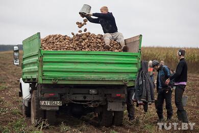 Латвия запретила ввоз сельхозпродукции из Беларуси и России