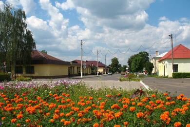 В горпоселке Паричи. Фото: parichi.by