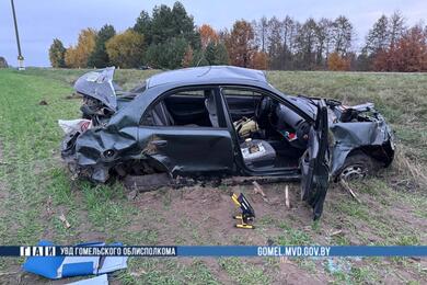 На месте ДТП. Фото: УВД Гомельского облисполкома