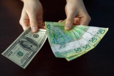«При первой возможности переводят свободные деньги в доллары». Как белорусы вели себя на рынке валют в 2022 году