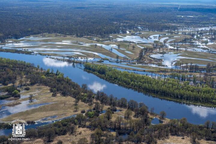 Вид на Гомельскую область. Фото: t.me/gomel_region_gov