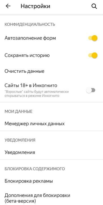 Фото: скриншот приложения «Яндекс Браузер».