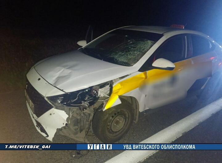Hyundai после столкновения с лосем в Лиозненском районе, 9 июня 2025 года. Фото: УГАИ УВД Витебского облисполкома Hyundai после столкновения с лосем в Лиозненском районе, 9 июня 2025 года. Фото: УГАИ УВД Витебского облисполкома