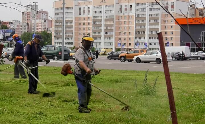 Покос травы в Гомеле. Скриншот видео городского ТВ Покос травы в Гомеле. Скриншот видео городского ТВ
