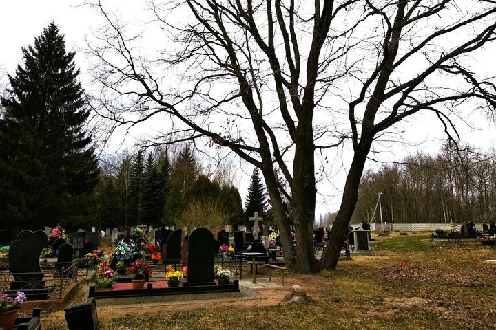 Северное кладбище. Изображение: Google Maps