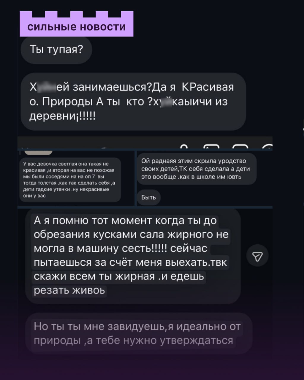 Скриншот переписки с оскорблениями. Фото: "Сильные Новости"